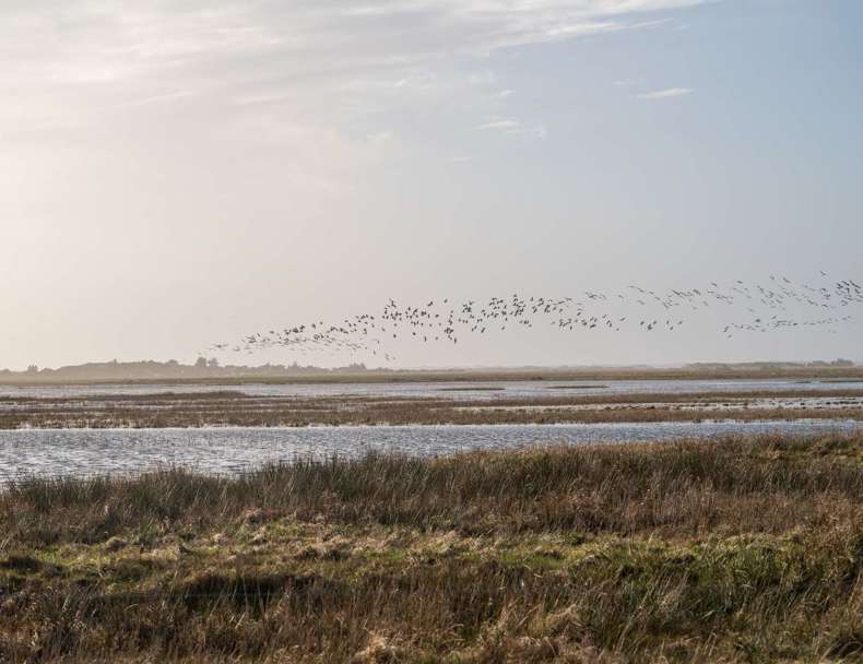 1600Px COLOURBOX69812221